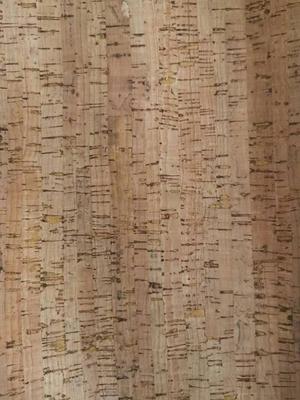 CORK-01